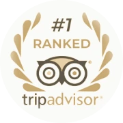 Altezza Travel – vinder af Tripadvisor Travellers' Choice-prisen 2026