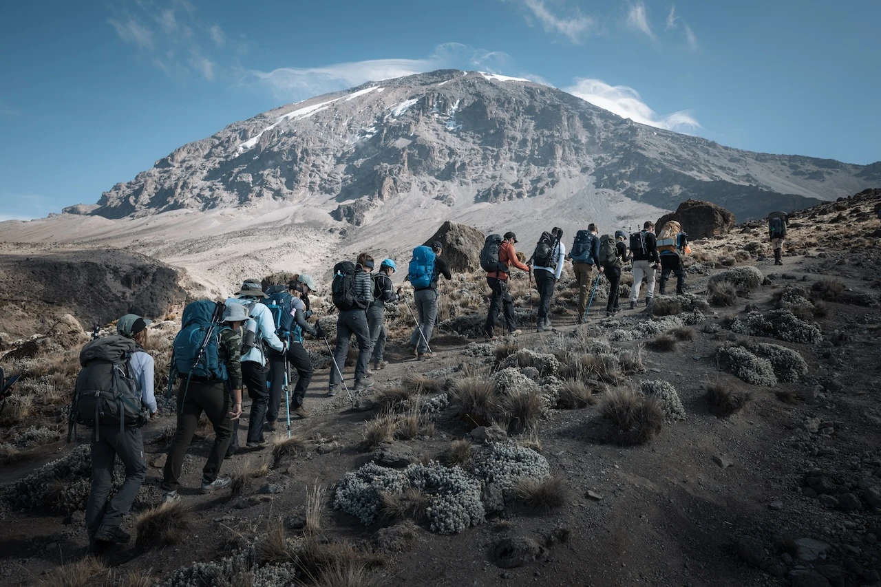 Altezza-vandrere på en fælles Kilimanjaro-rejse