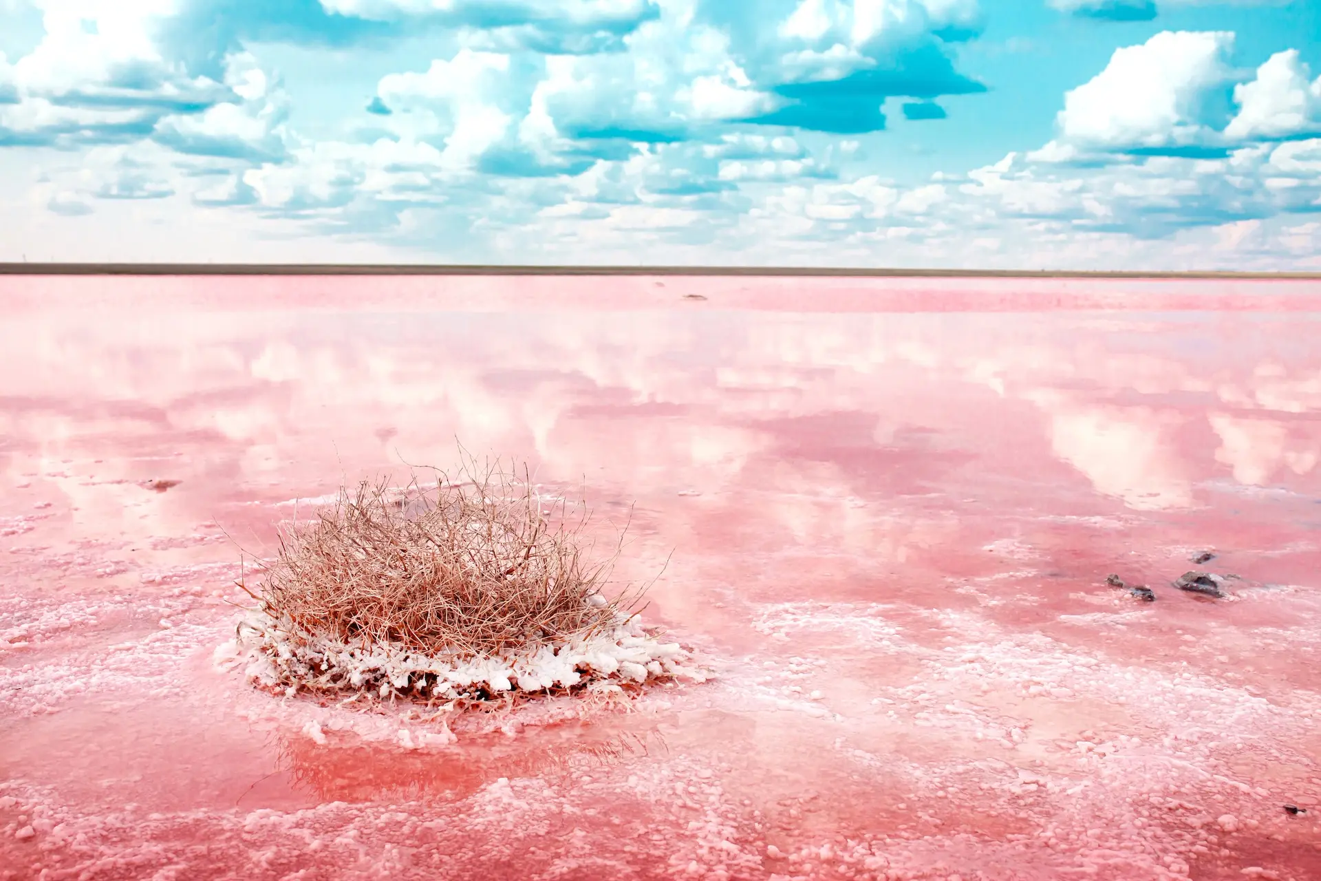 I tørsæsonen bliver søen rød og dækkes af salt. Foto: Vera Larina / Shutterstock