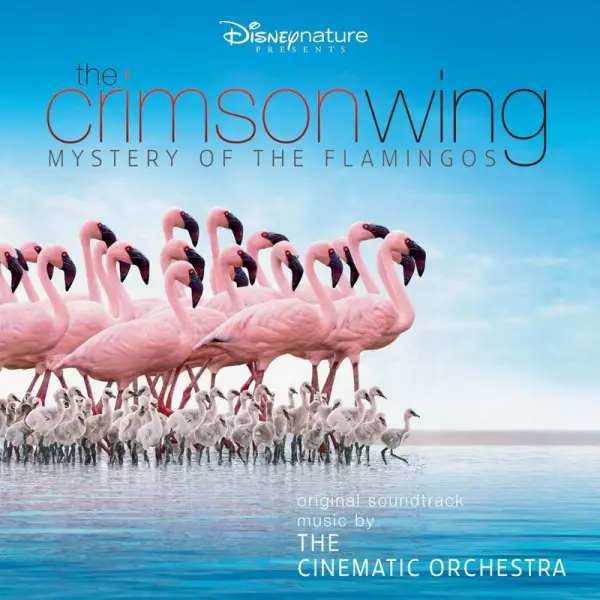 Forside til dokumentaren “The Crimson Wing: Mystery of the Flamingos”