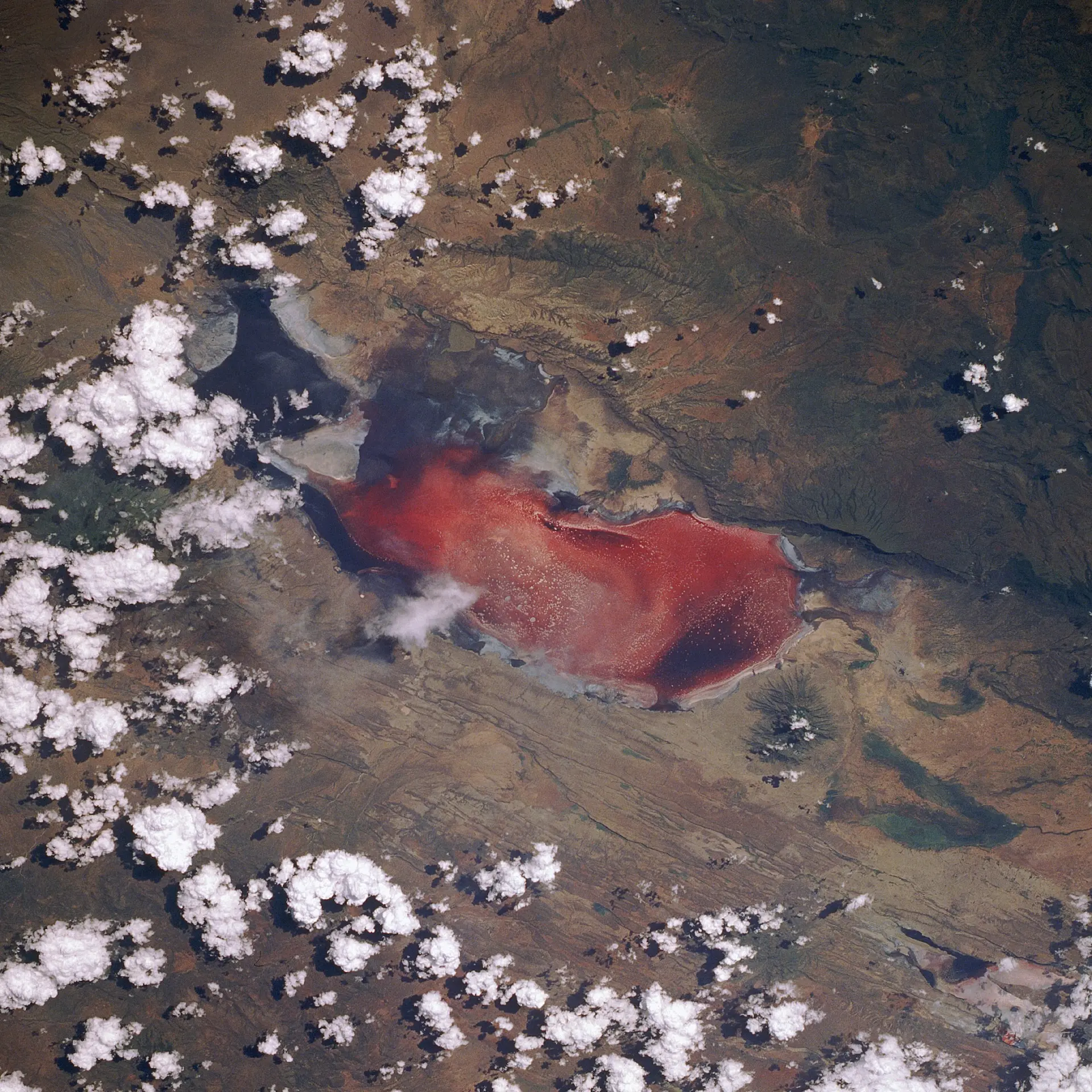 Natron-søen, nogle gange kaldet «den dødelige røde sø», set fra rumfærgen Discovery under mission STS-29. Foto: NASA