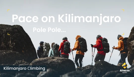 Find dit tempo på Kilimanjaro | Altezza Travel