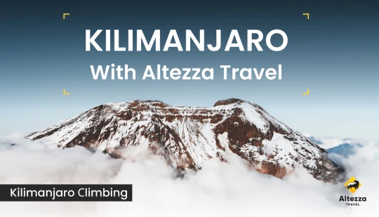 Bestigning af Kilimanjaro: vigtig information | Altezza Travel