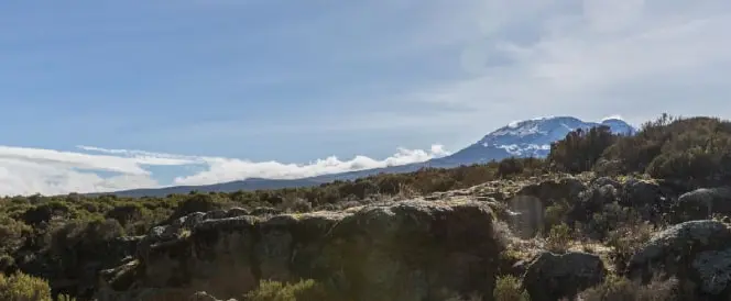 Marangu-ruten - Dag 3 - Vandring fra Mandara Hut til Horombo Hut