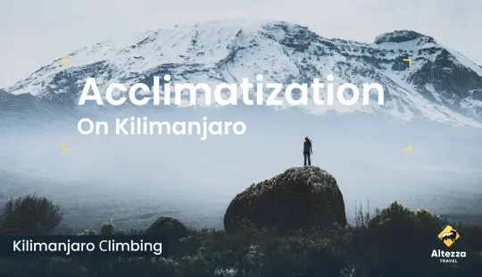 Højdetilvænning på Kilimanjaro | Altezza Travel