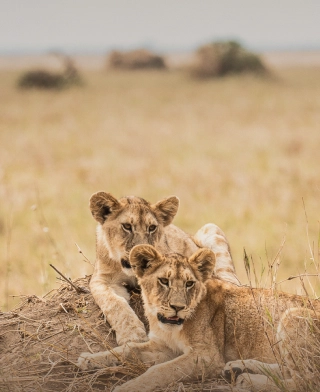 Nyerere nationalpark (Selous)