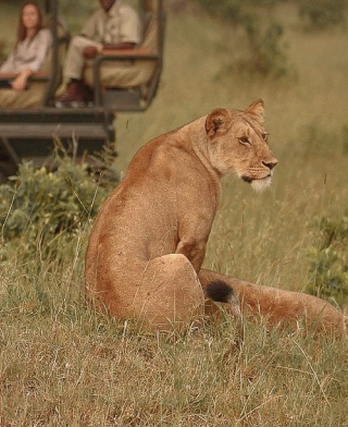 Serengeti nationalpark
